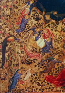 Madonna met een rozenstruik door Stefano di Giovanni da Verona